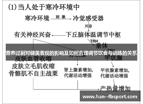 营养过剩对健美表现的影响及如何合理调节饮食与训练的关系 营养过剩对健美表现的影响及如何合理调节饮食与训练的关系