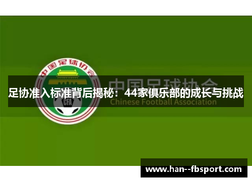 足协准入标准背后揭秘：44家俱乐部的成长与挑战