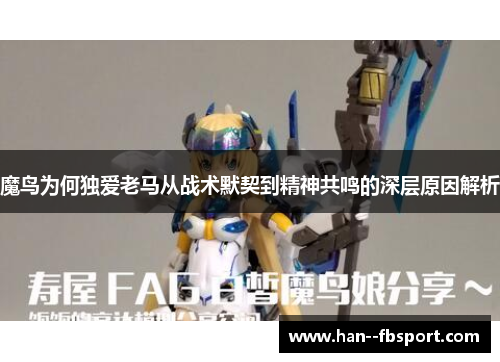 魔鸟为何独爱老马从战术默契到精神共鸣的深层原因解析
